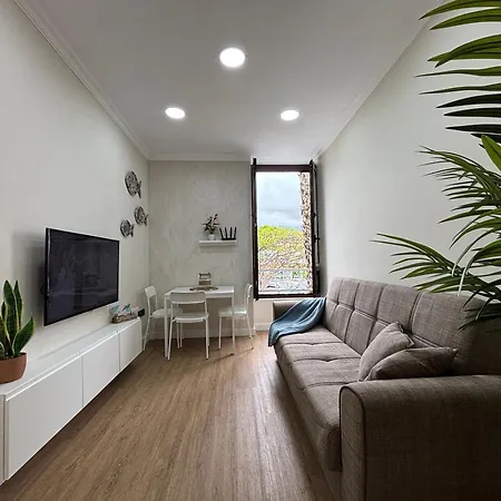 Vv Arenas Reformado En * 拉克鲁斯