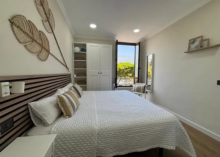 Vv Arenas Reformado En